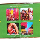 Wild Colours Premium Holi Colours - 10x50g (500g) - Non-Toxic & Skin Friendly