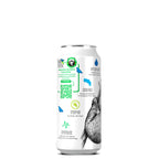 RainForest Premium & Natural Artesian Spring Water from Costa Rica, Aluminium Cans 475mL