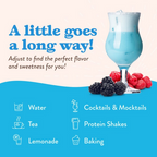 Sugar Free Genie™- Sugar Free Sour Blue Raspberry Syrup (Pack Of 2 Bundle)