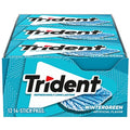 Trident Wintergreen Sugar Free Gum (Best Before : 17 July 2026)