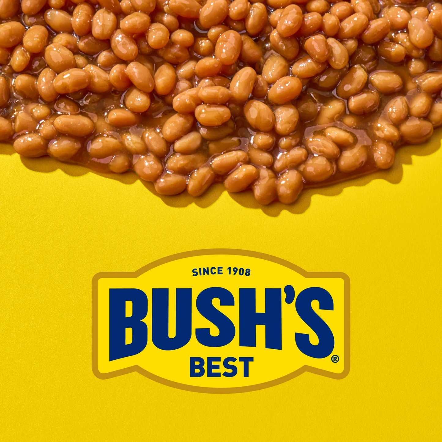 Bush's Best Baked Beans with Boston Recipe Rich Molasses, Brown Sugar 794g
