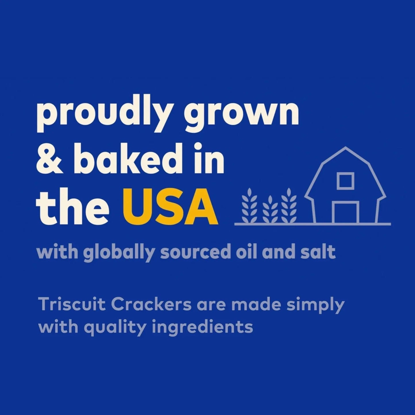 Nabisco Triscuit Hint of Sea Salt Crackers 240g